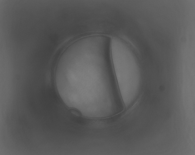 X0000101951307200807180654