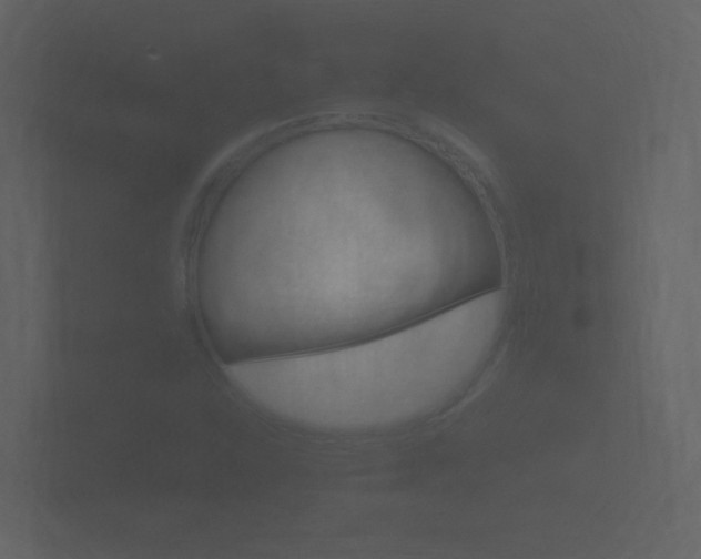 X0000101951310200807180654