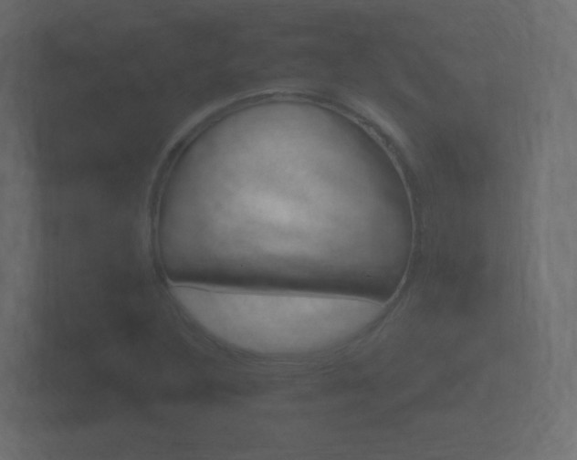 X0000101951316200807180654