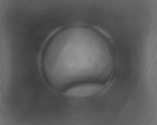 X0000101951325200807180654