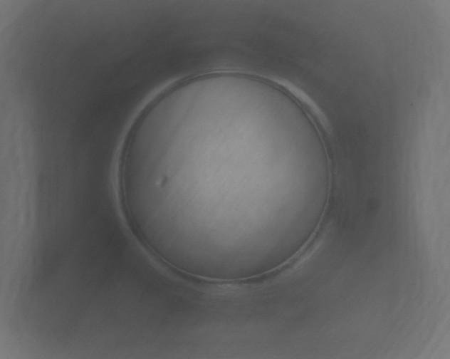 X0000101951333200807180654