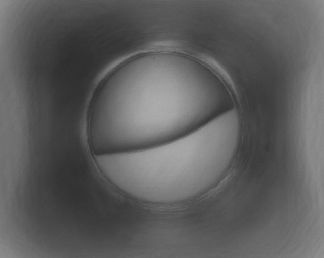 X0000101951336200807180654
