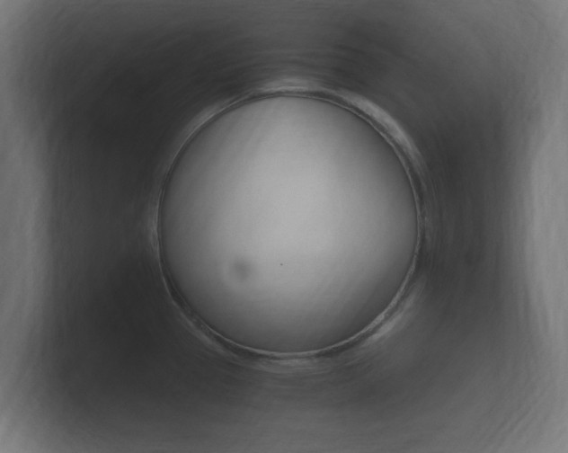 X0000101951337200807180654
