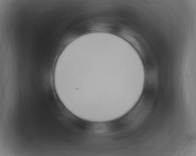 X0000101951338200807180654