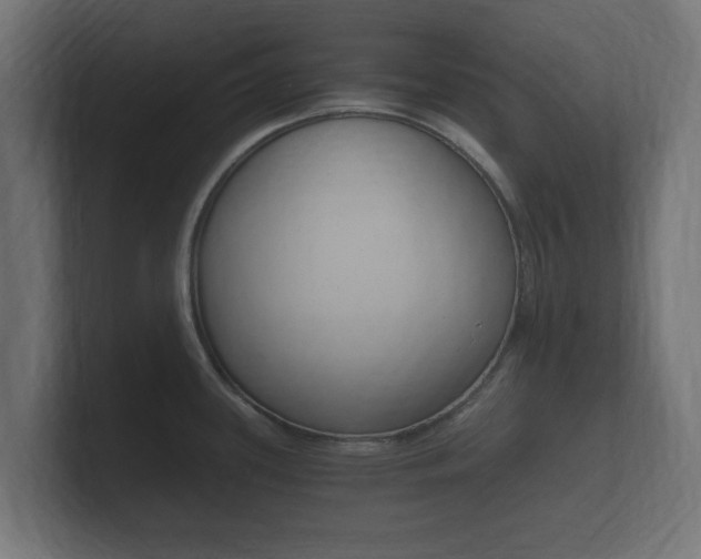 X0000101951339200807180654