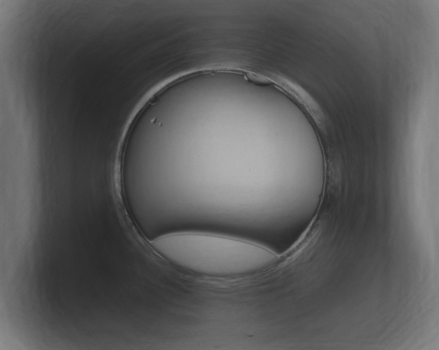 X0000101951340200807180654