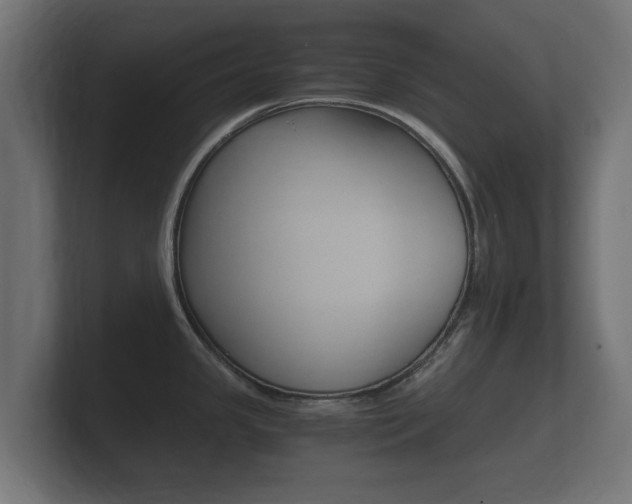 X0000101951341200807180654