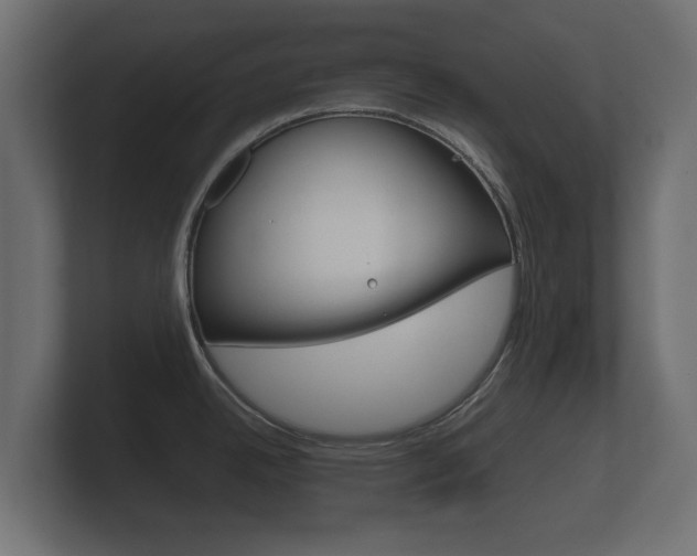 X0000101951342200807180654