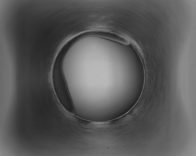 X0000101951344200807180654