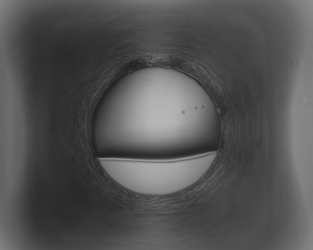 X0000101951345200807180654