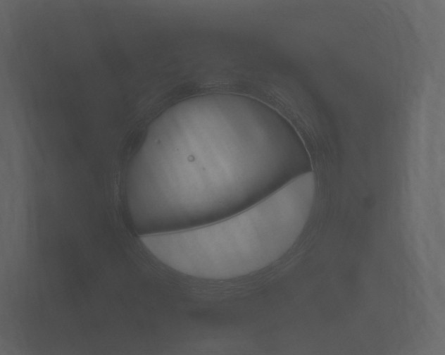 X0000101951348200807180654