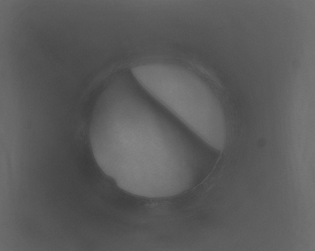 X0000101951351200807180654