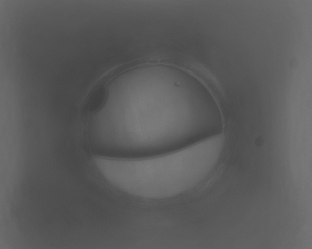 X0000101951352200807180654