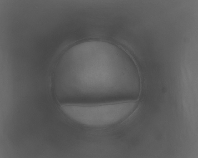 X0000101951355200807180654