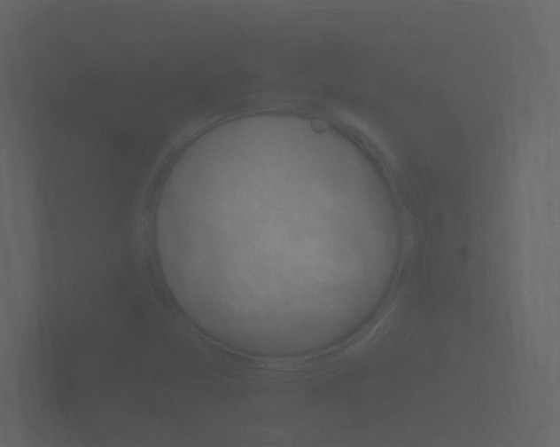 X0000101951357200807180654