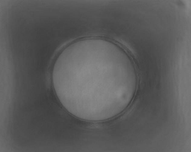 X0000101951358200807180654