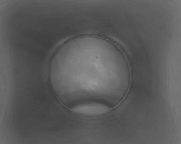 X0000101951359200807180654