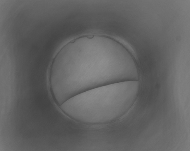 X0000101951382200807180653