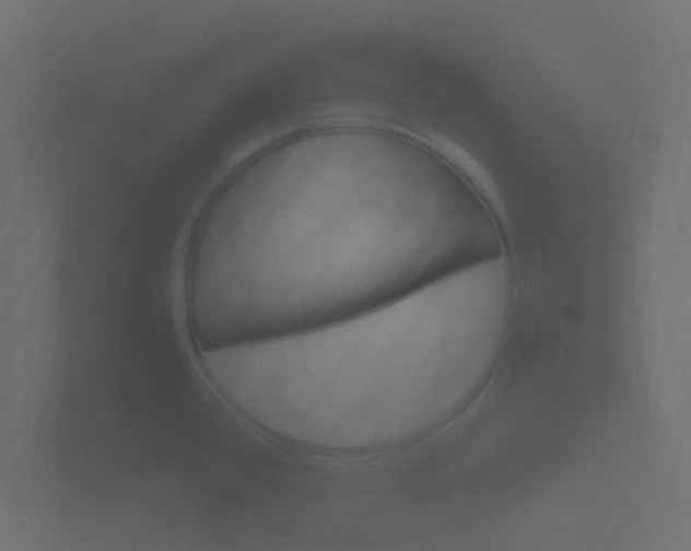 X0000101951384200807180653