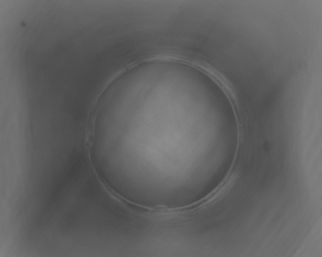 X0000101951385200807180653