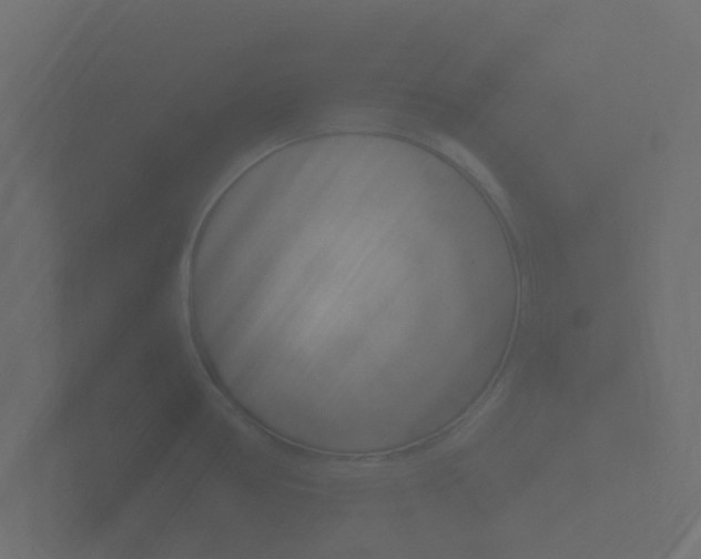 X0000101951386200807180653