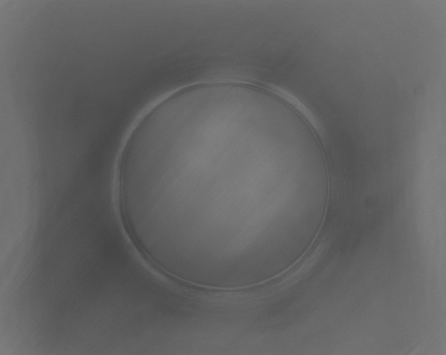 X0000101951387200807180653
