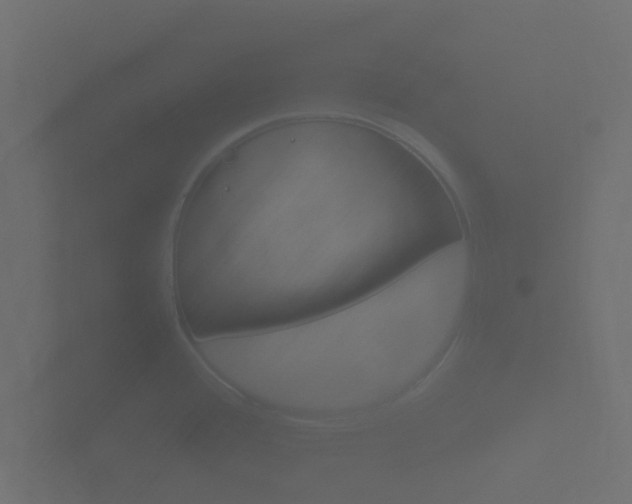 X0000101951388200807180653