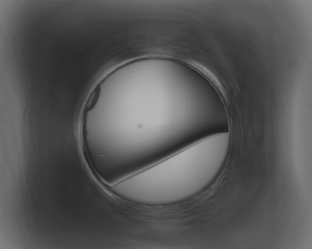 X0000101951391200807180653