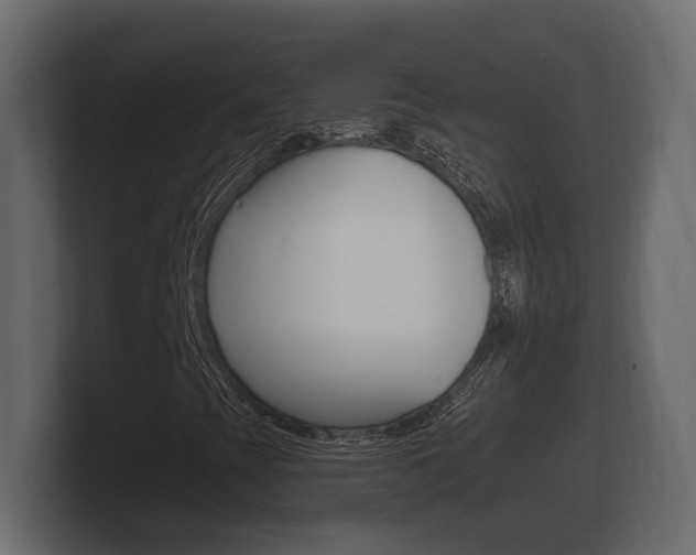 X0000101951393200807180653
