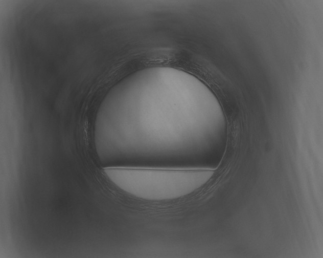 X0000101951394200807180653