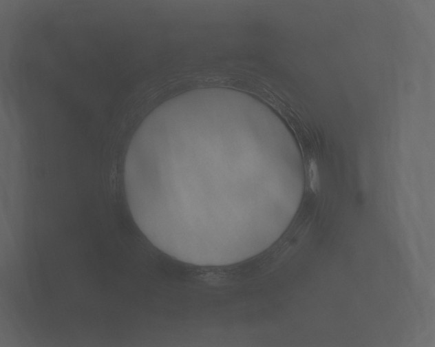 X0000101951395200807180653