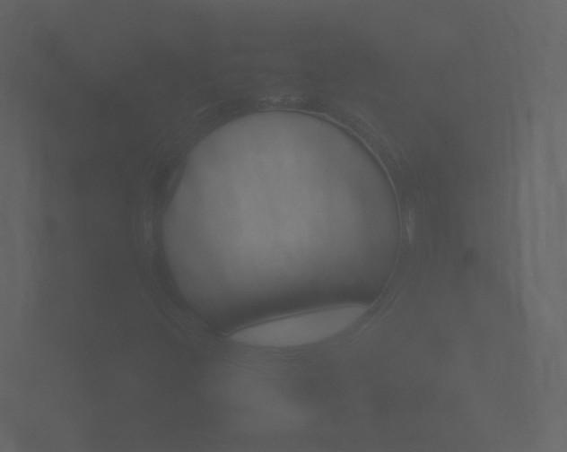 X0000101951396200807180653