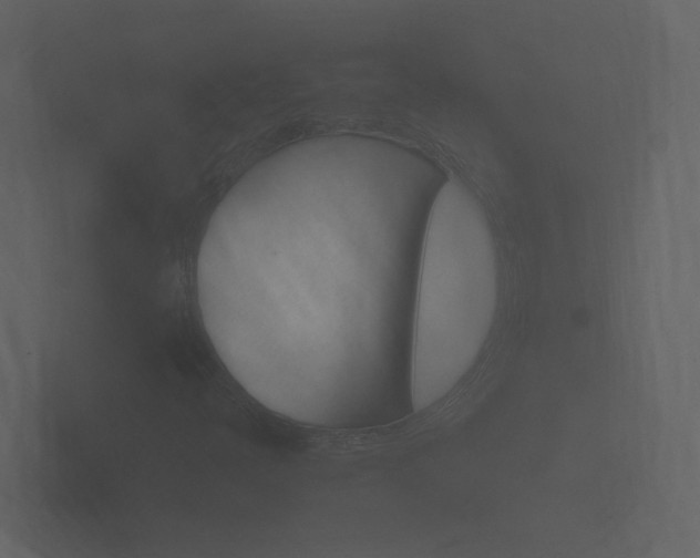 X0000101951397200807180653