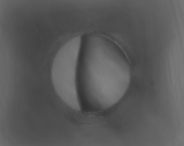 X0000101951398200807180653