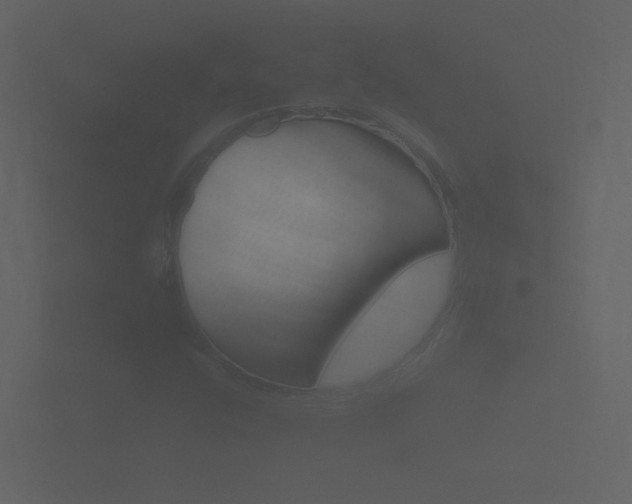 X0000101951400200807180653