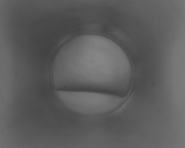 X0000101951401200807180653