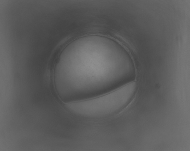 X0000101951402200807180653