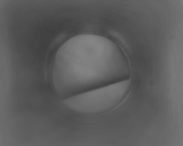 X0000101951403200807180653