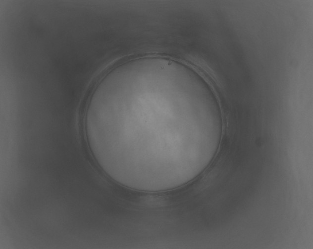 X0000101951404200807180653