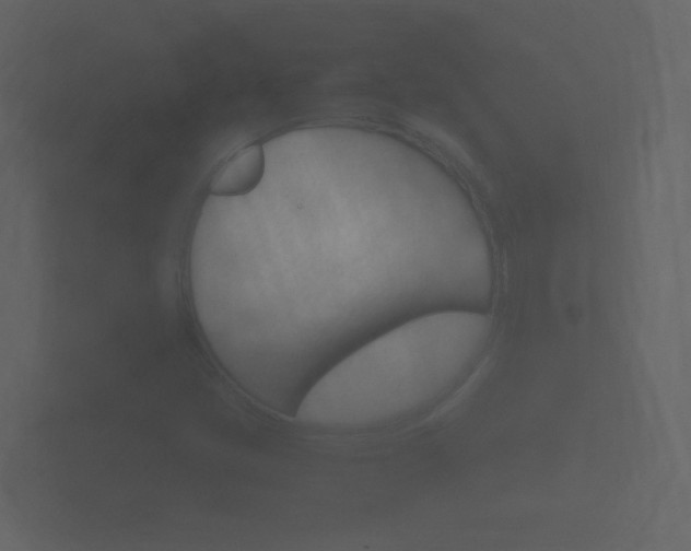 X0000101951405200807180653