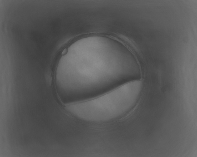 X0000101951406200807180653