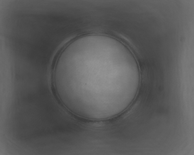 X0000101951410200807180653