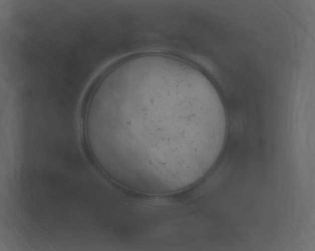 X0000101951414200807180653