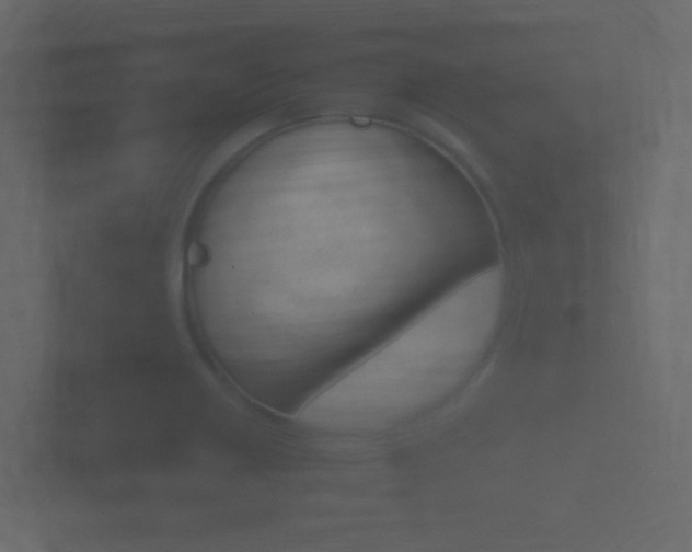 X0000101951418200807180653