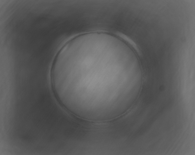 X0000101951423200807180653