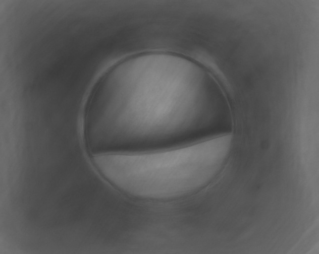 X0000101951424200807180653