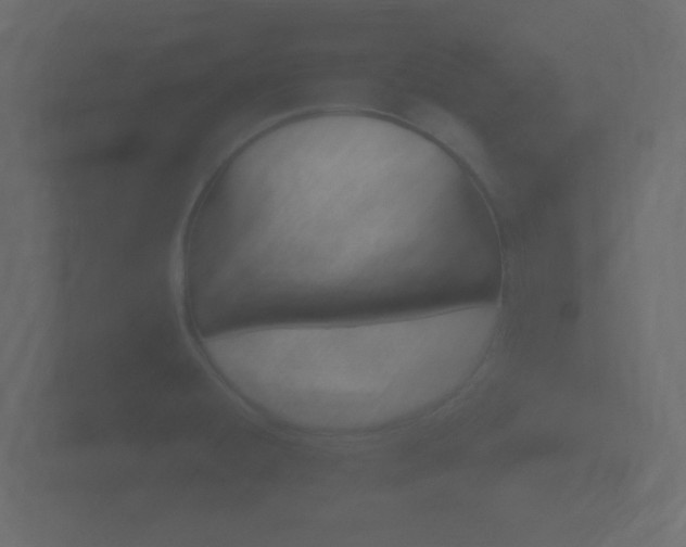 X0000101951428200807180653