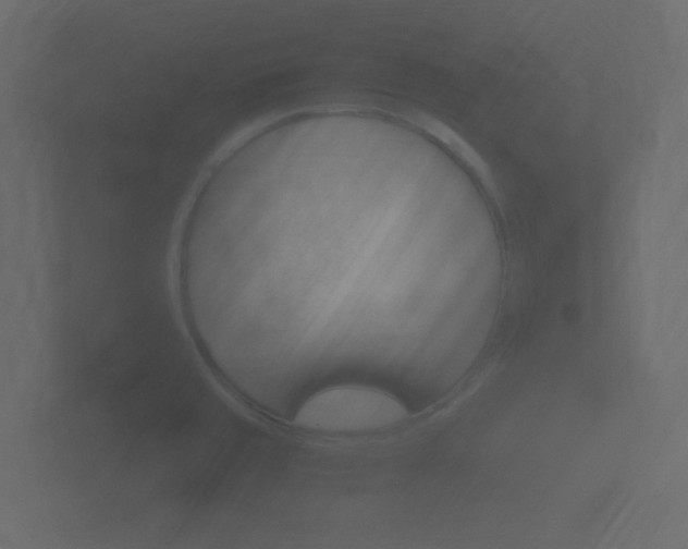 X0000101951429200807180653
