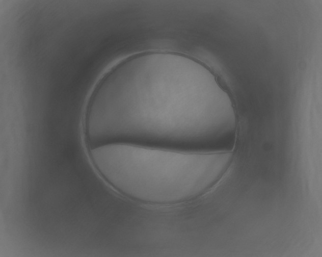 X0000101951432200807180653