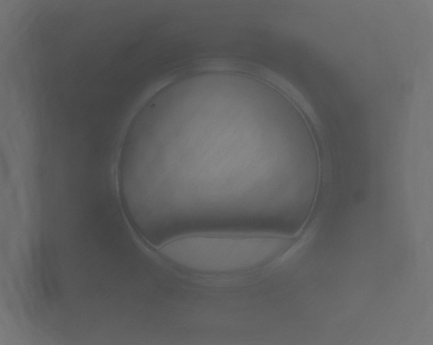 X0000101951433200807180653